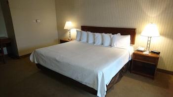 Hm Mirador Hotel Chihuahua